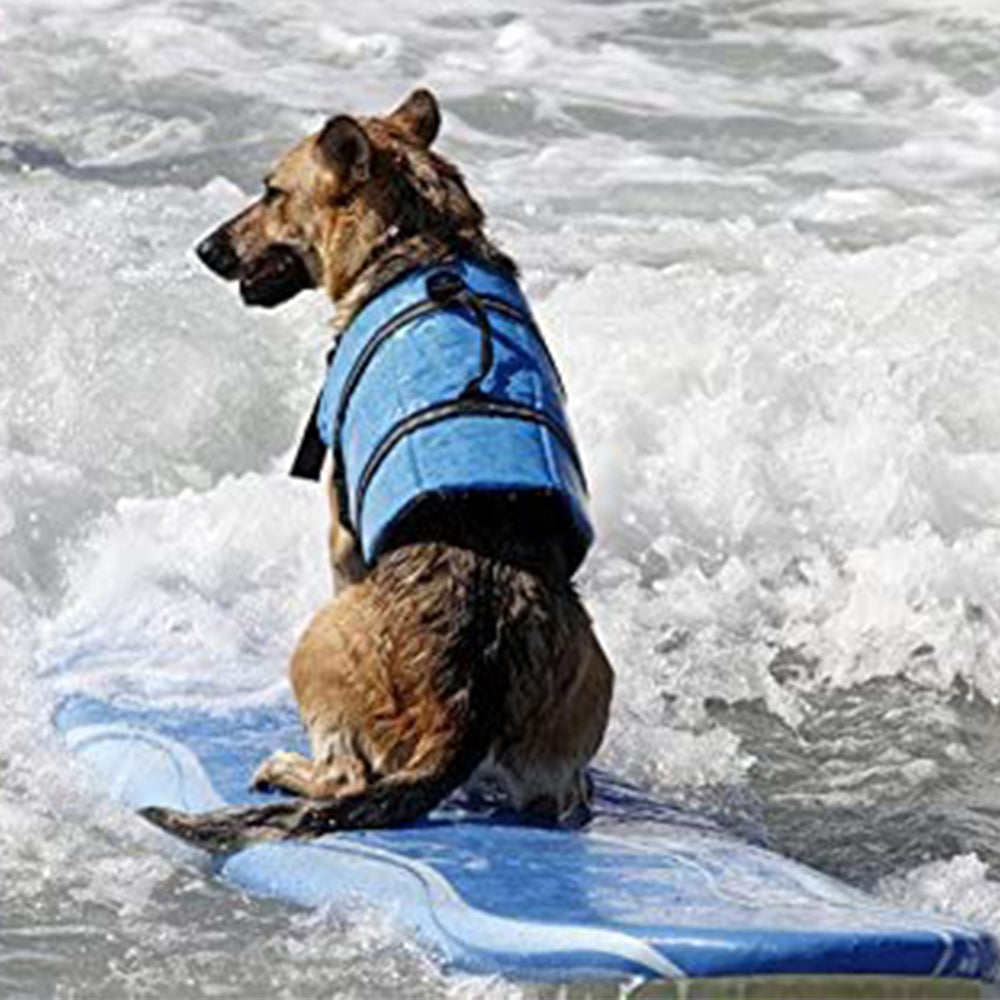 Printed Dog Life Jacket Light Blue M