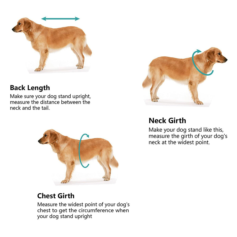 Printed Dog Life Jacket Light Blue M