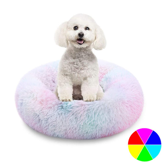 Rainbow Colour Pet Beds
