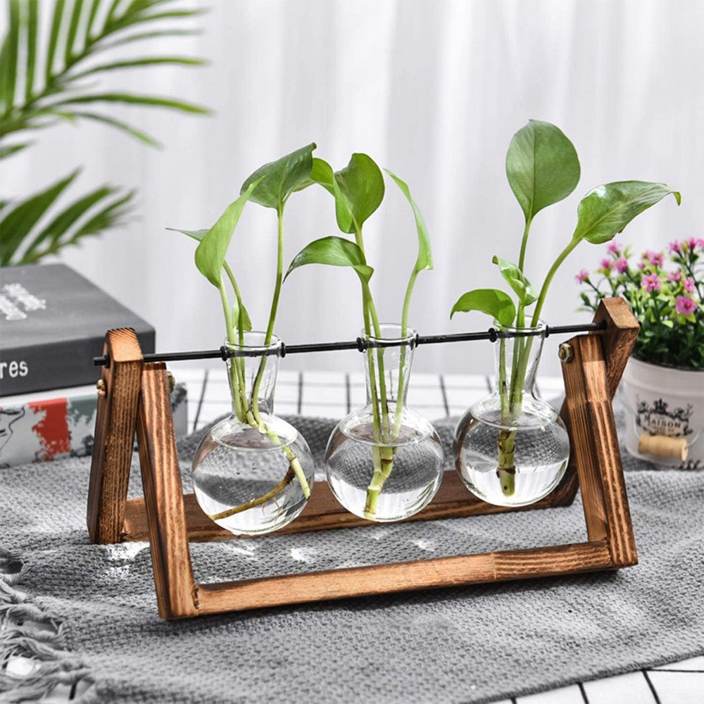 Indoor Plant Glass Pot Plant Terrarium with Wooden Stand Tabletop Glass Bulb Vase Home Garden Office Decoration Triple Pots
