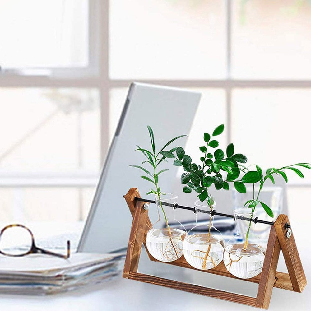 Indoor Plant Glass Pot Plant Terrarium with Wooden Stand Tabletop Glass Bulb Vase Home Garden Office Decoration Triple Pots