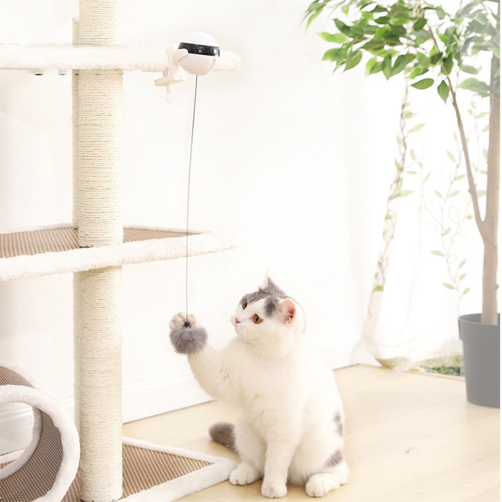 Electric Automatic Lifting Cat Ball Interactive Cat Teaser Toy Cat Playing Toy Smart Pet Cat Ball Toy Black