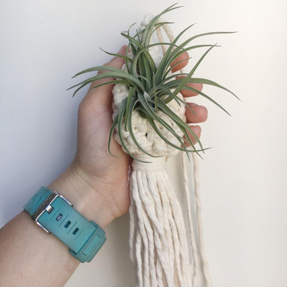 2Pcs 13cm Height Macrame Flower Plant Pot Hanger Woven Basket Home Decoration