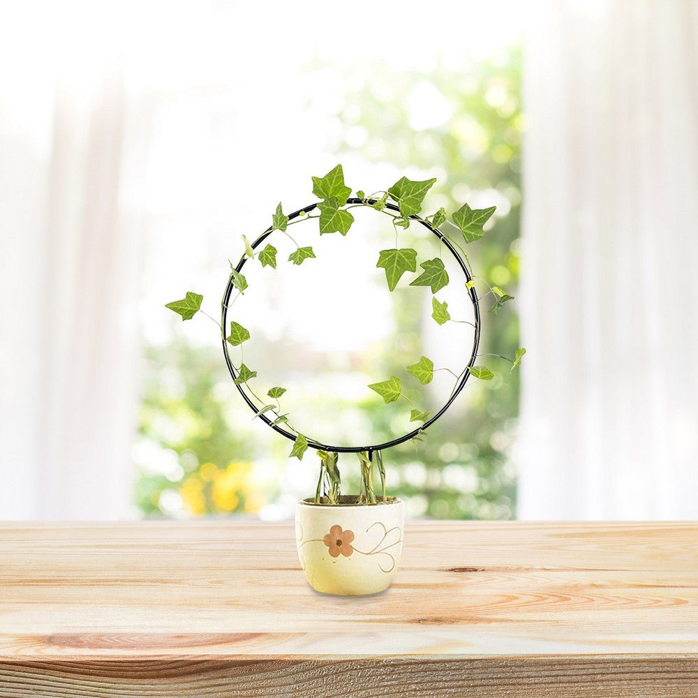 4X Round Heart Shape Plant Trellis Climbing Plants Flower Support Garden Trellis