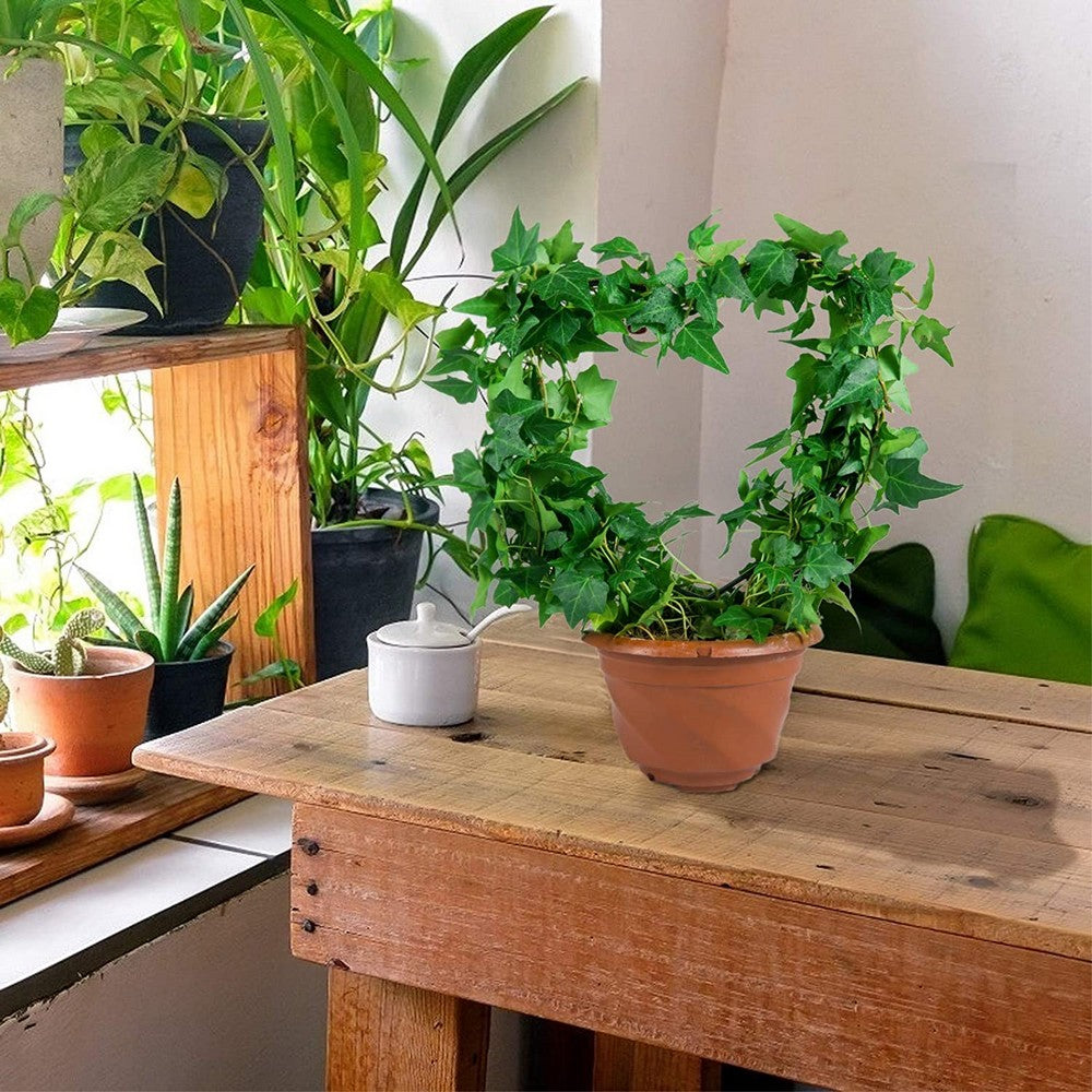 2X Round Heart Shape Plant Trellis Climbing Plants Flower Support Garden Trellis