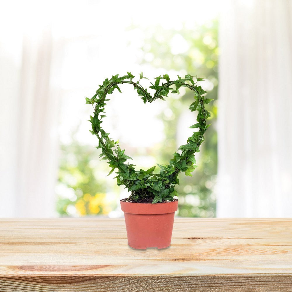4X Round Heart Shape Plant Trellis Climbing Plants Flower Support Garden Trellis