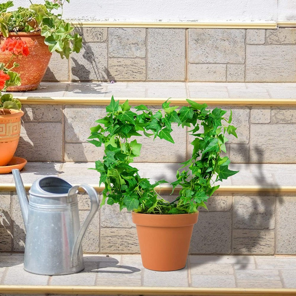 4X Round Heart Shape Plant Trellis Climbing Plants Flower Support Garden Trellis