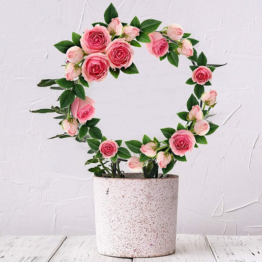 4 X Round Shaped Plant Trellis for Climbing Plants Flower Support Garden Trellis