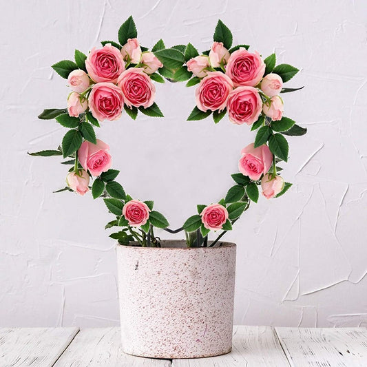 4 X Heart Shaped Plant Trellis for Climbing Plants Flower Support Garden Trellis