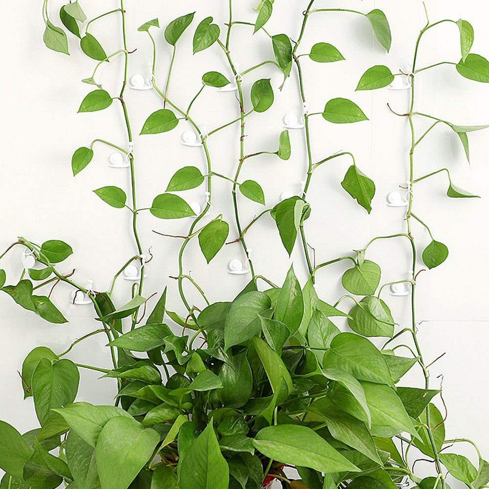20Pcs White Plant Climbing Wall Fixing Clips Invisible Wall Vines Fixture Sticky Hooks