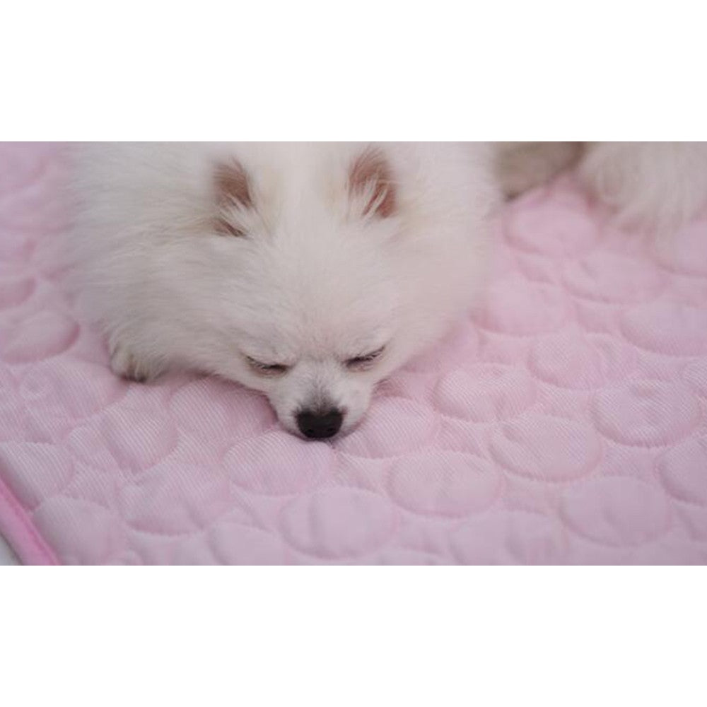 Summer Pet Cooling Mat