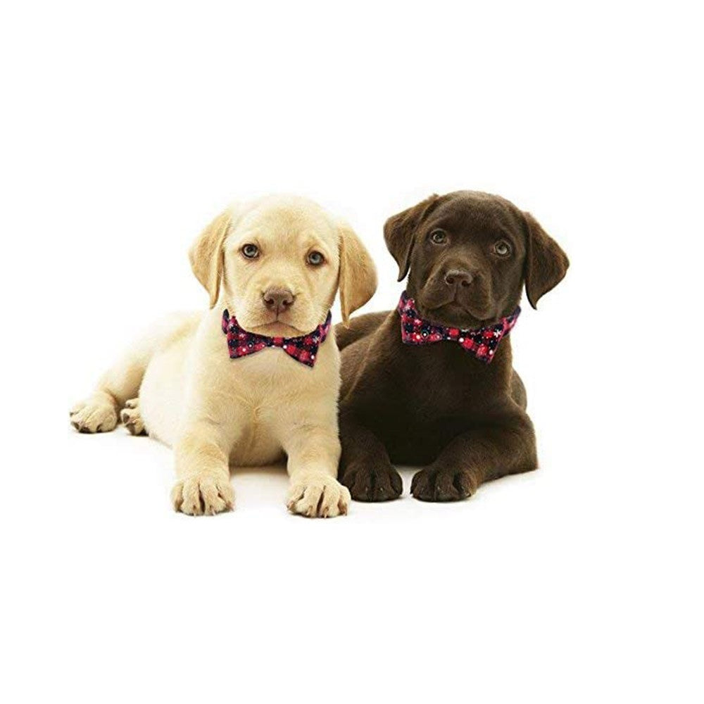 Christmas Xmas Pet Collar with Leash