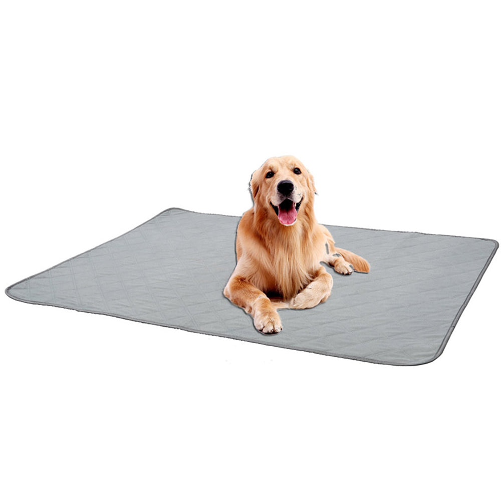 60x45cm Pet Training Mat Reusable Dog Toilet Training Pad