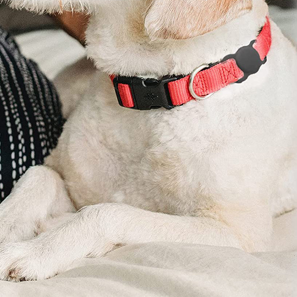 2 X Black Blue Silicone Protective Case for Apple Airtag Pet Collar Dog harness