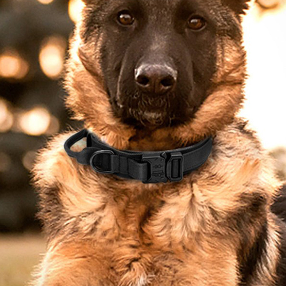 2 X XL Black Camouflage Tactical Dog Collar and Leash Sets