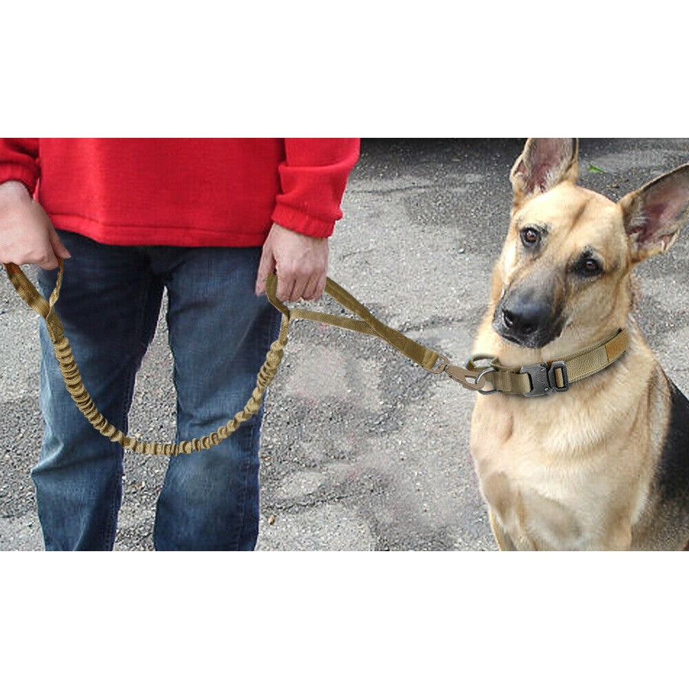 1 X M Khaki Tactical Dog Collar and Leads Set