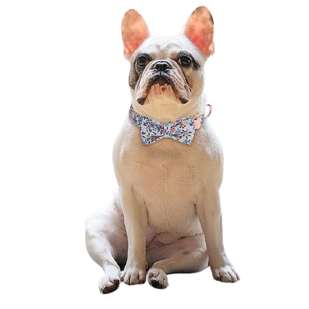 2 X Blue Orange S Floral Print Pet Collar Pet Bow Tie Dog Collar