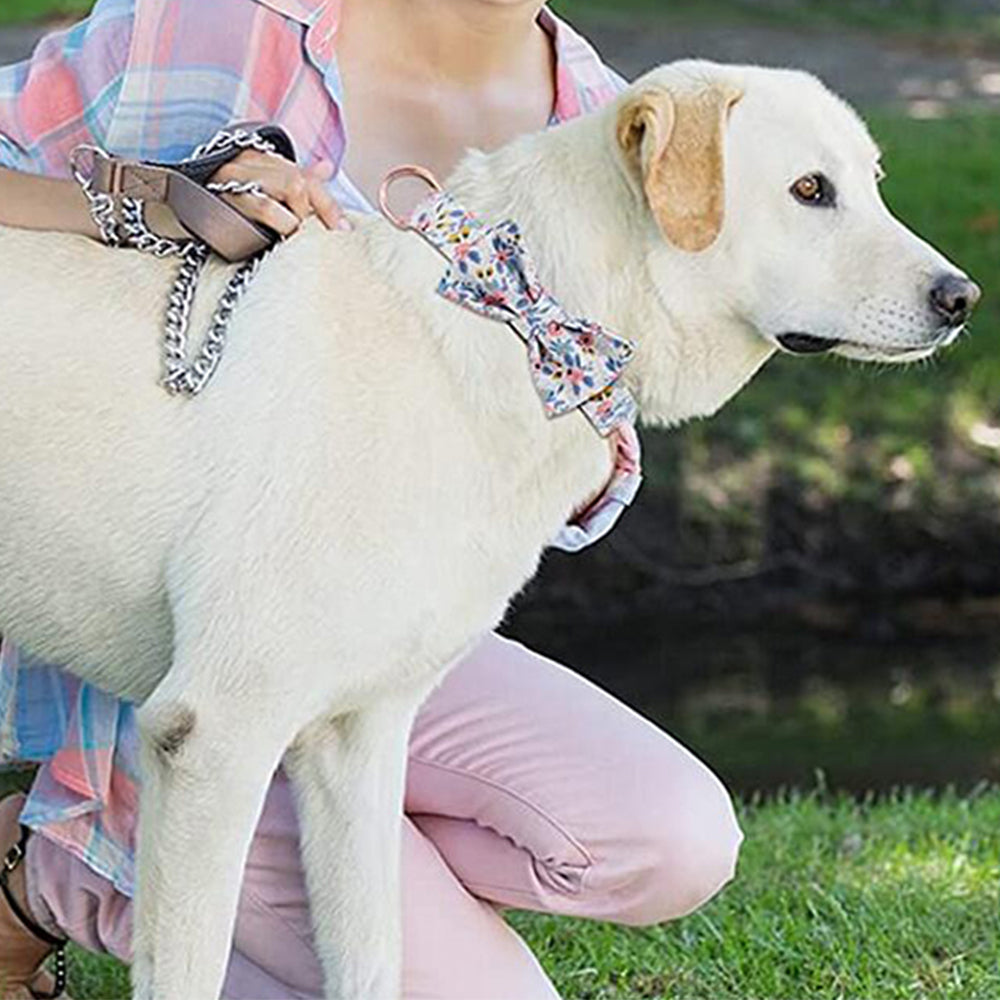 2 X Blue Orange L Floral Print Pet Collar Pet Bow Tie Dog Collar