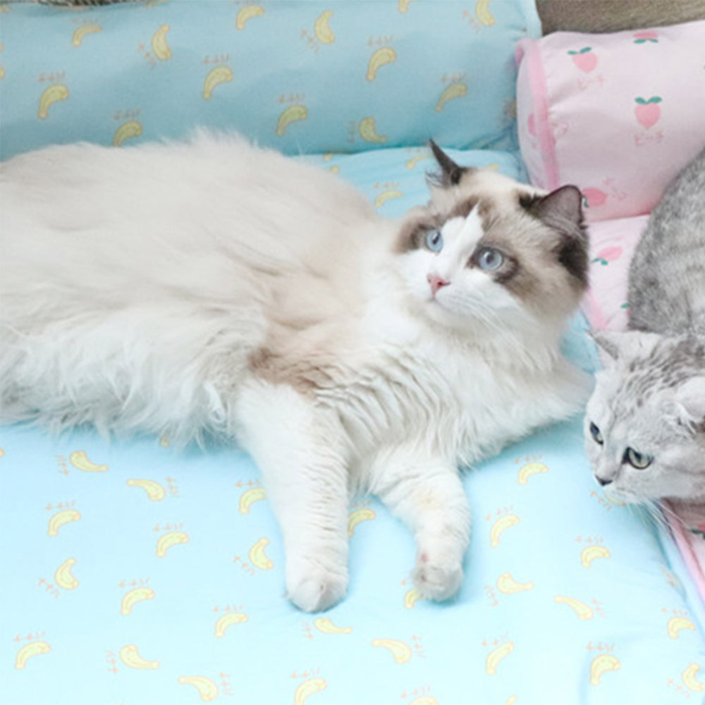 2 X Large Blue Pink Summer Pet Cooling Bed