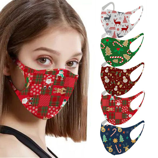 10Pcs Christmas Themed Washable Face Masks