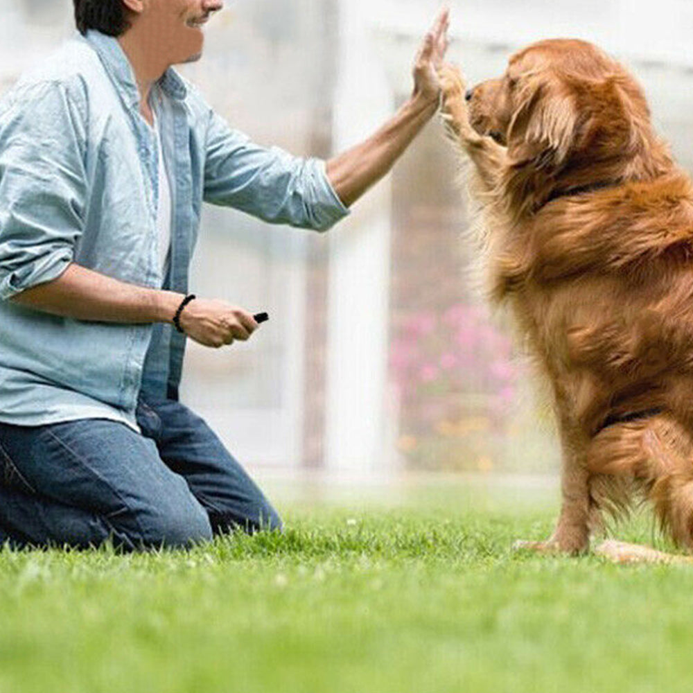 2 X Dog Training Clicker Whistle Dog Training Aid Barking Train Tools