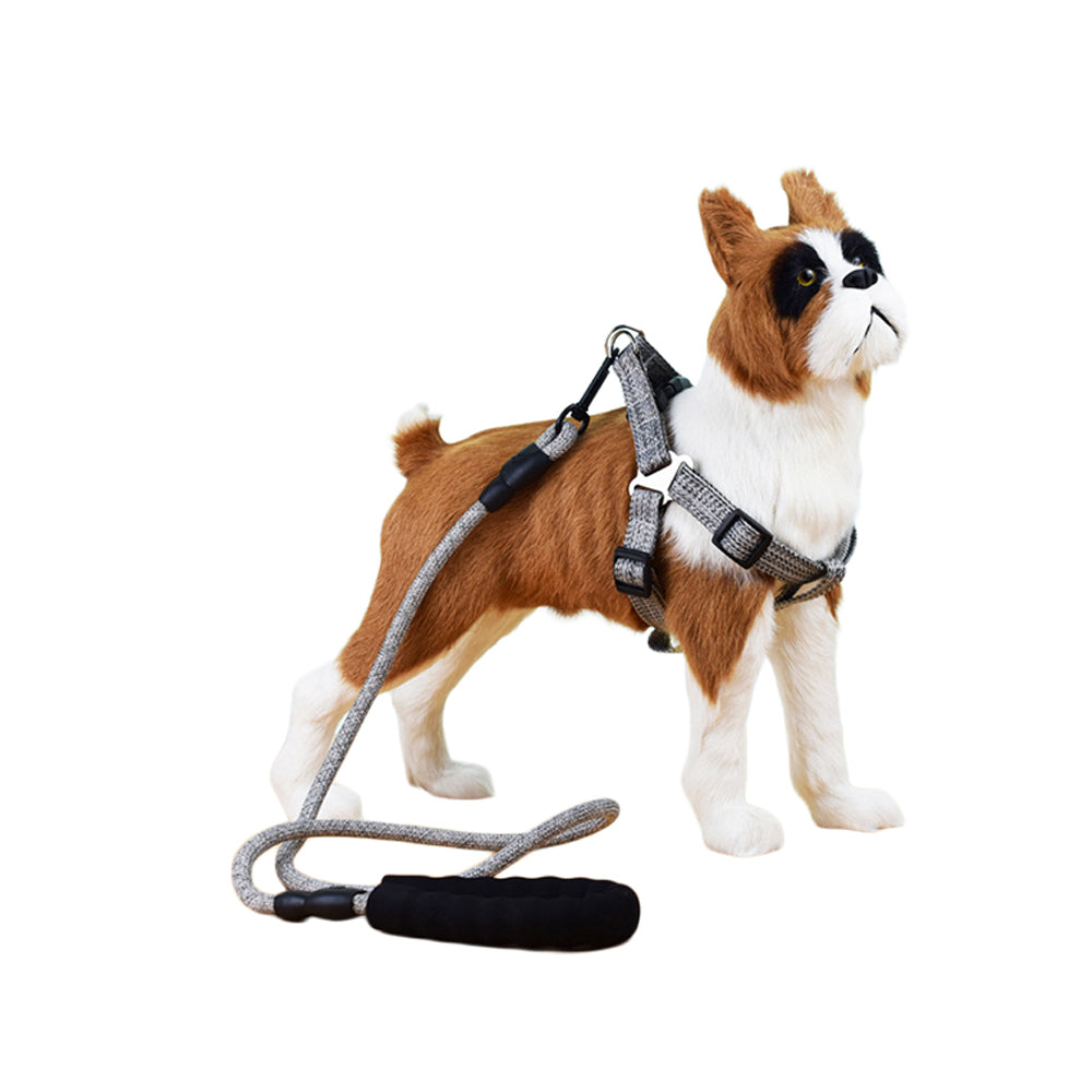 2 X M Size Adjustable Pet Dog Harness with Leash Blue Grey