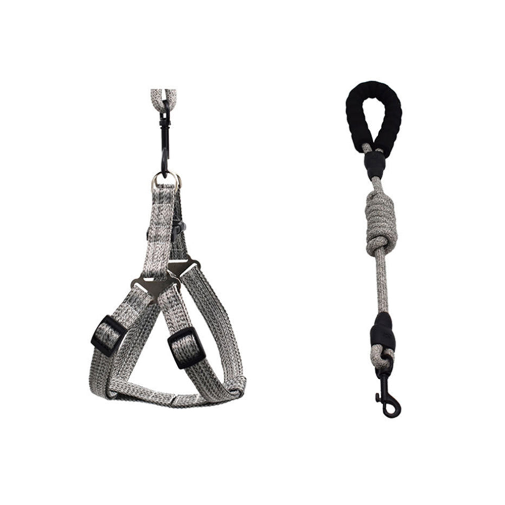 2 X S Size Adjustable Pet Dog Harness with Leash Blue Grey