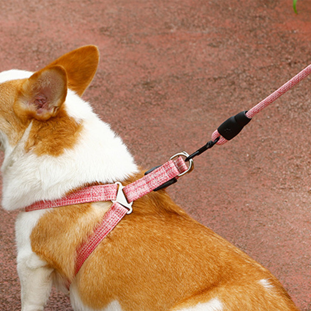 2 X XL Size Adjustable Pet Dog Harness with Leash Blue Pink