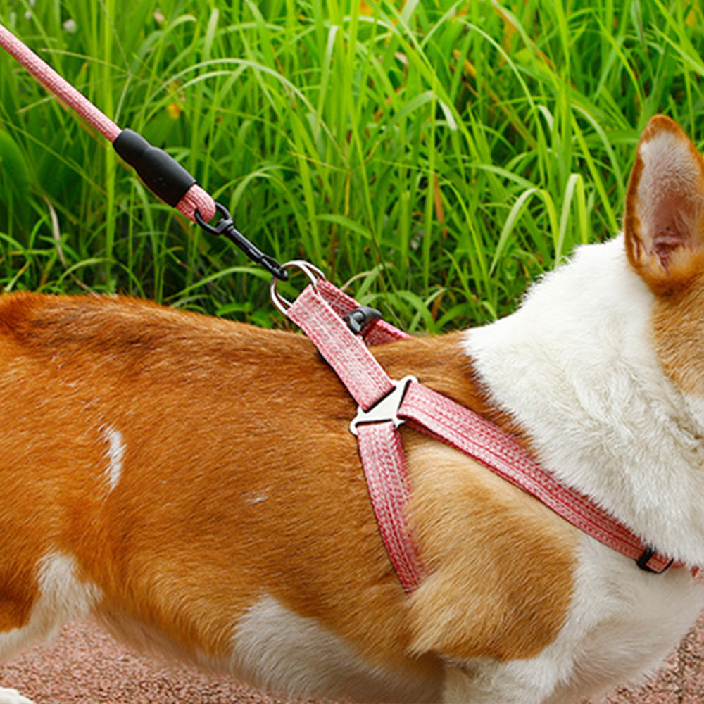2 X M Size Adjustable Pet Dog Harness with Leash Blue Pink