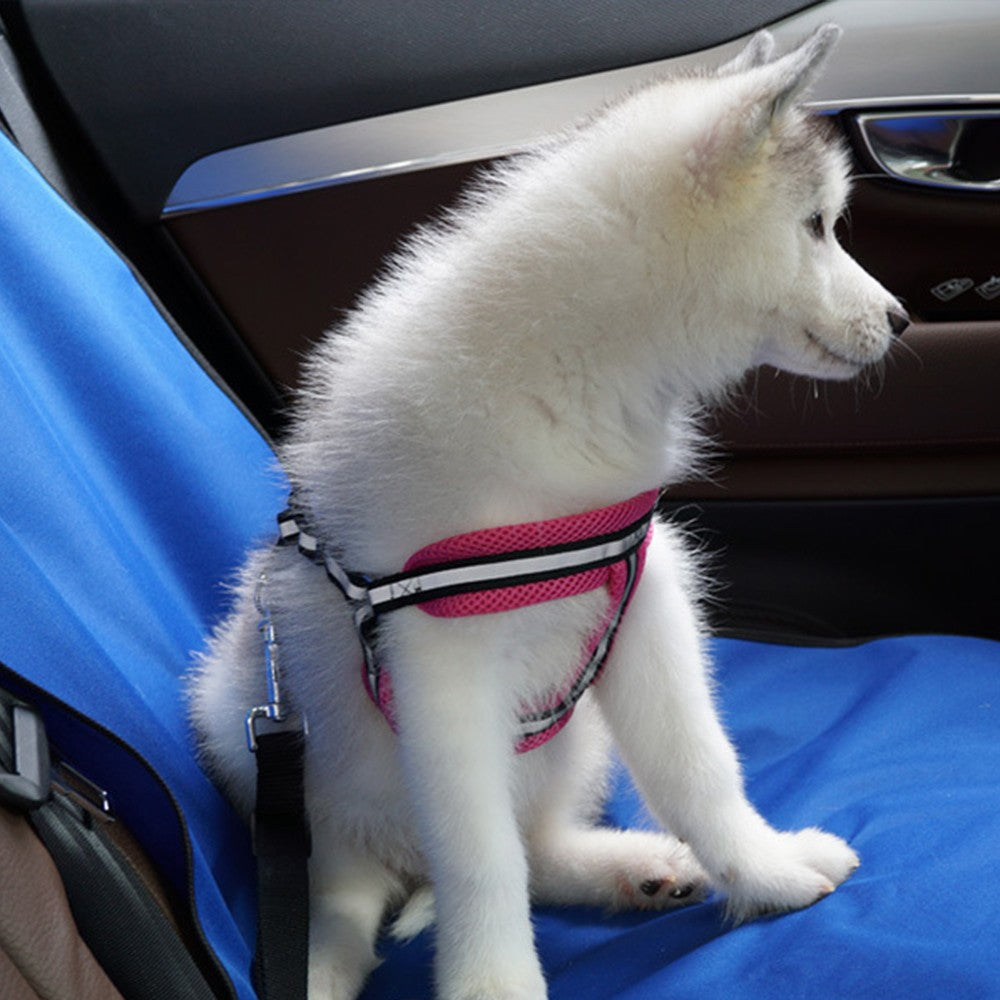 Car Rear Back Seat Cover Mat Pet Dog Mat Puppy Travel Pad Protector Blue