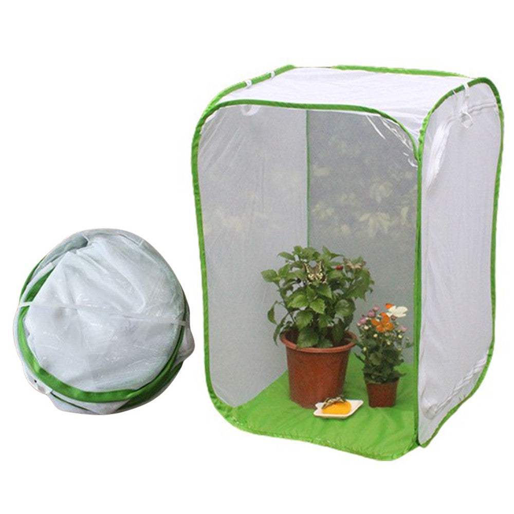 40x40x60cm Folding Insect Cage