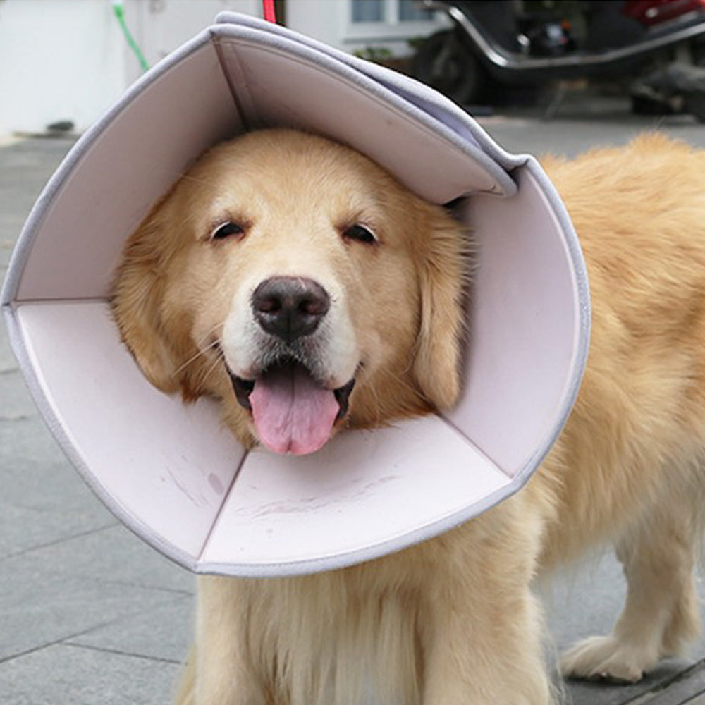 Dog Cone Adjustable Pet Cone Dog Recovery Collar Anti Lick Surgery Collar Size M