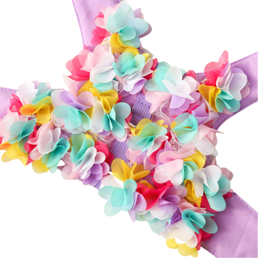 2X Pet Dog Harness with Leash Set Medium