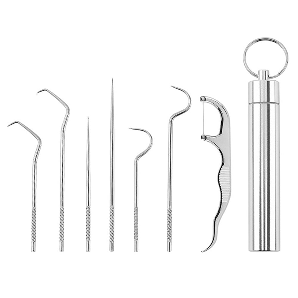 1 Set Travel Stainless Steel Dental Tooth Cleaning Kit Dental Floss Toothpick