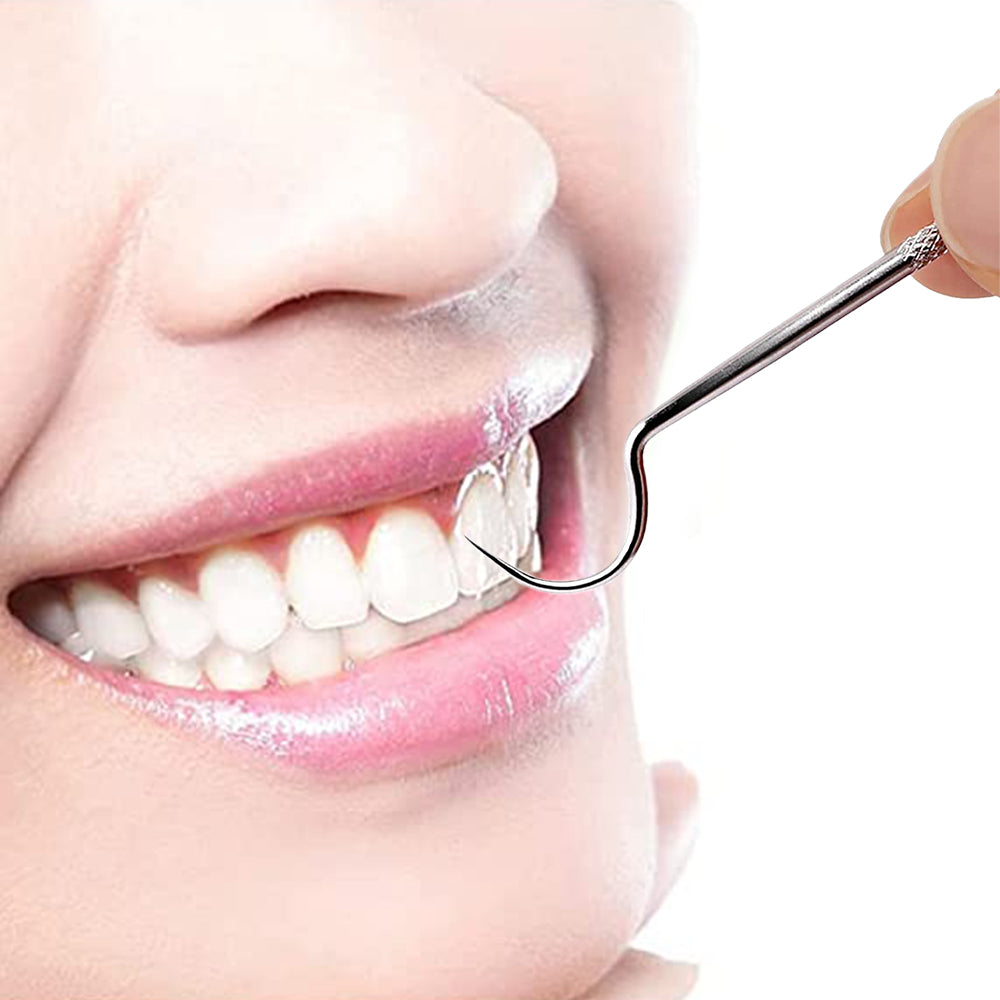 2 Sets Travel Stainless Steel Dental Tooth Cleaning Kit Dental Floss Toothpick