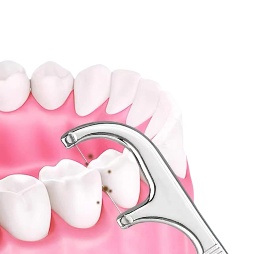 2 Sets Travel Stainless Steel Dental Tooth Cleaning Kit Dental Floss Toothpick