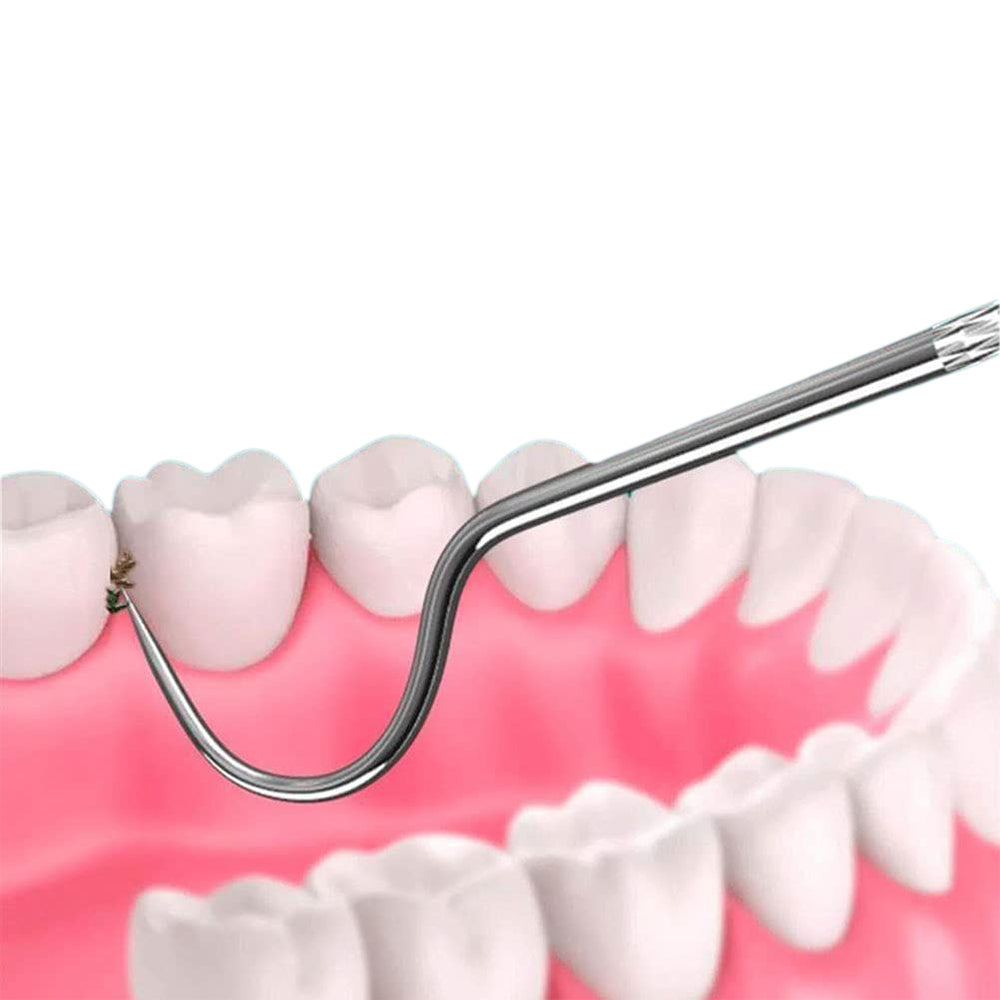 2 Sets Travel Stainless Steel Dental Tooth Cleaning Kit Dental Floss Toothpick