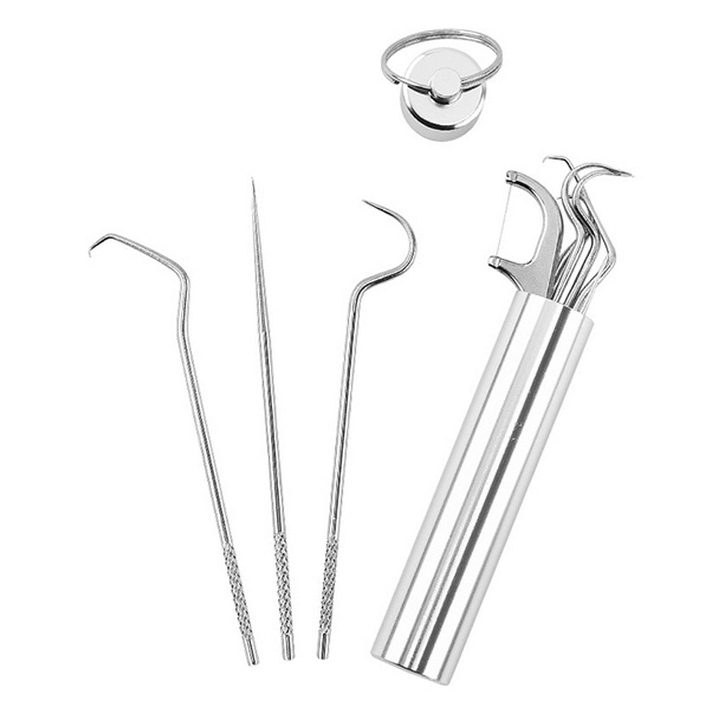 2 Sets Travel Stainless Steel Dental Tooth Cleaning Kit Dental Floss Toothpick
