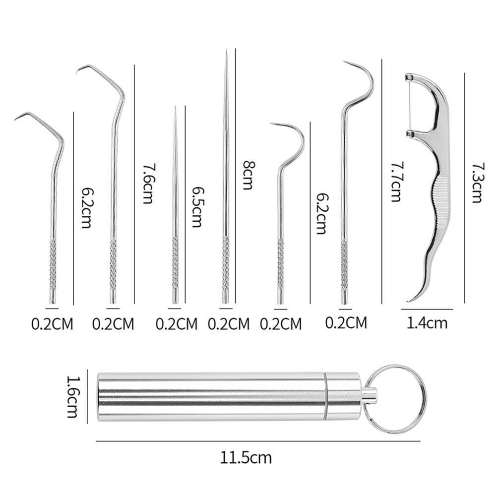 2 Sets Travel Stainless Steel Dental Tooth Cleaning Kit Dental Floss Toothpick