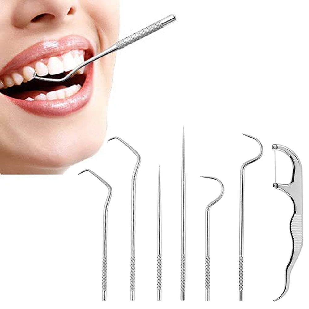 2 Sets Travel Stainless Steel Dental Tooth Cleaning Kit Dental Floss Toothpick