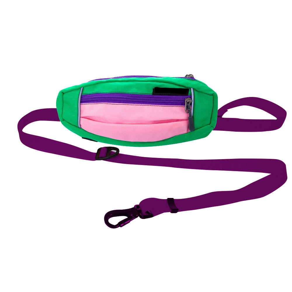 1X Hands Free Pet Dog Leash with Waist Bag Purple