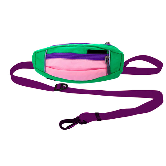 1X Hands Free Pet Dog Leash with Waist Bag Purple