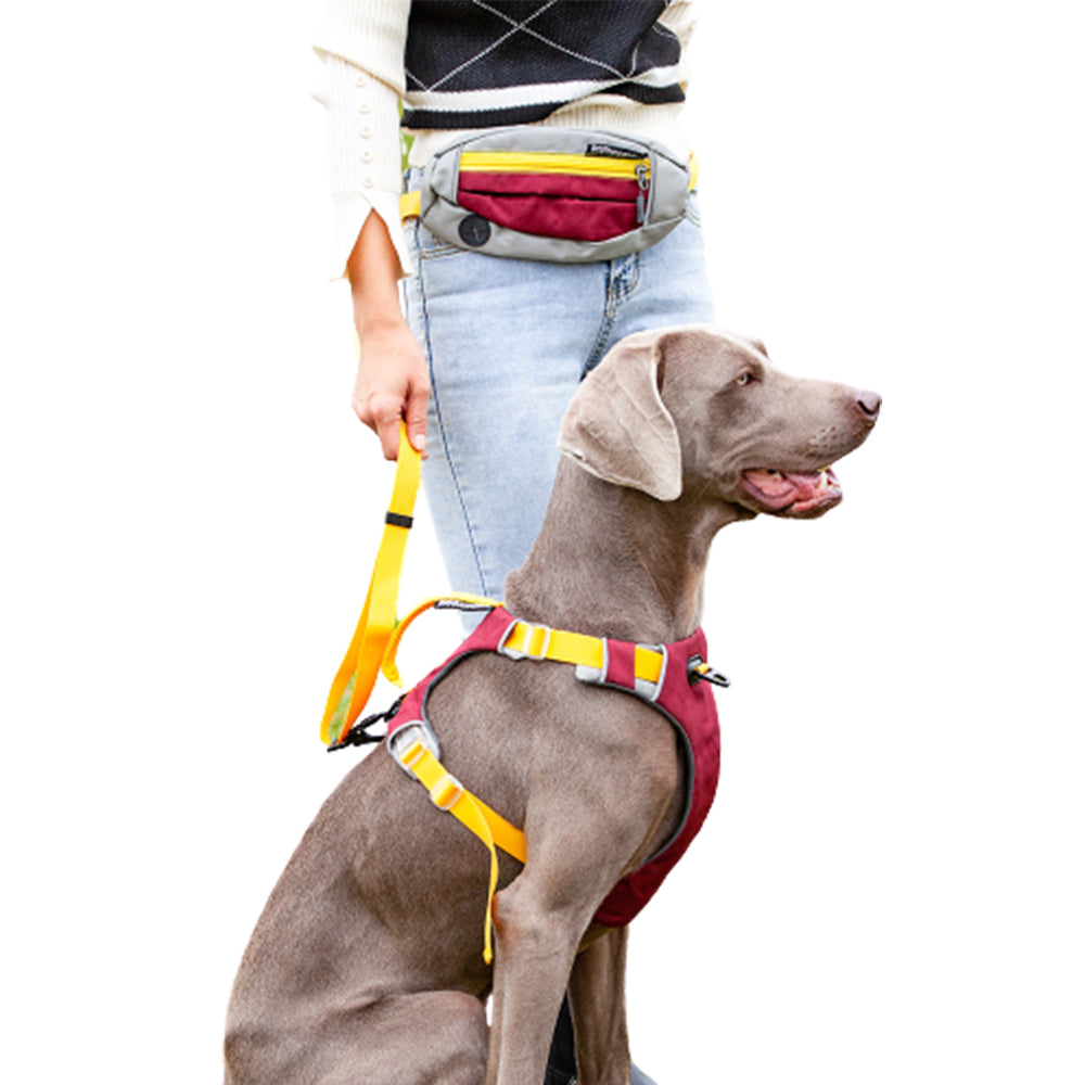 1X Hands Free Pet Dog Leash with Waist Bag Yellow