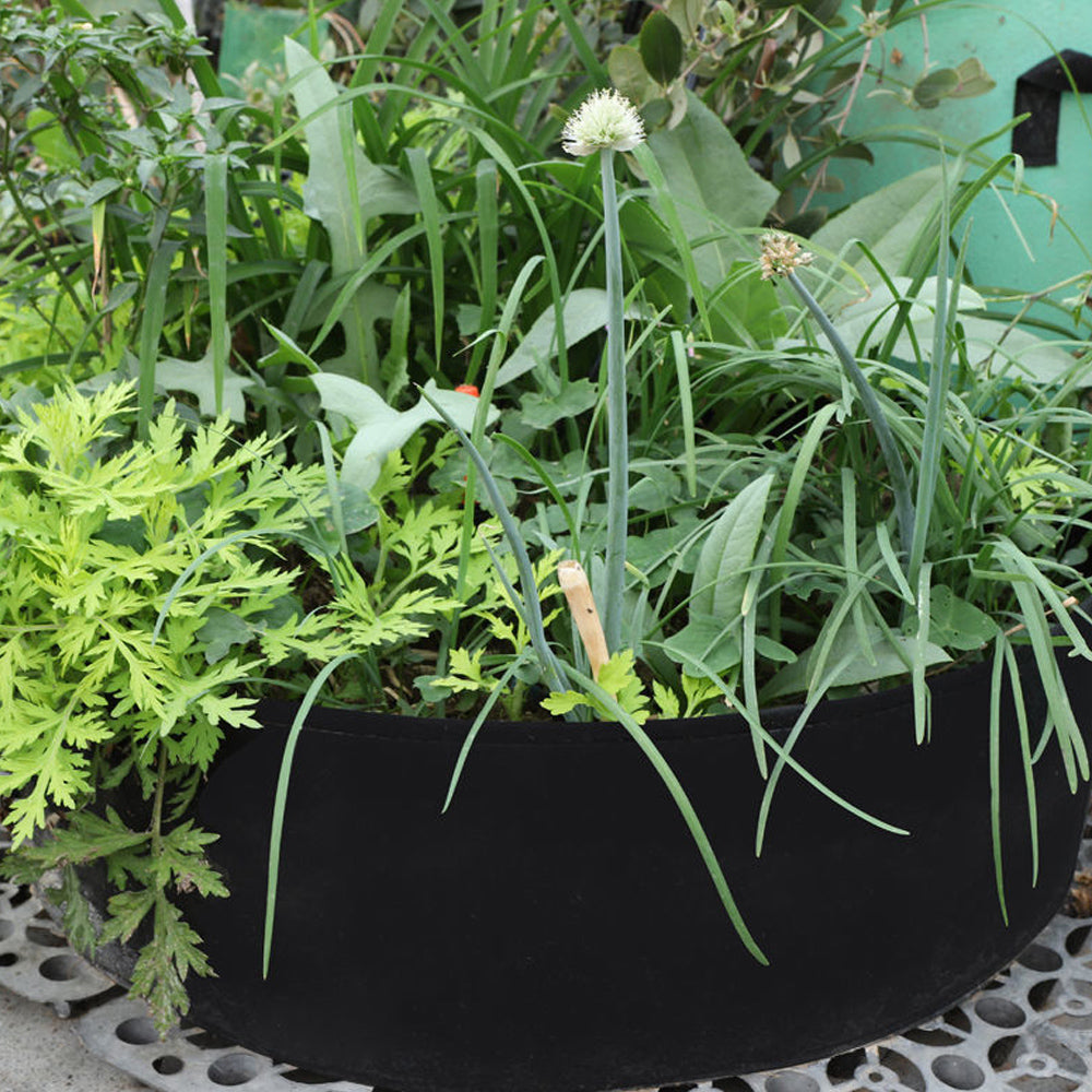 2Pcs 50 Gallon Plant Potato Grow Bags