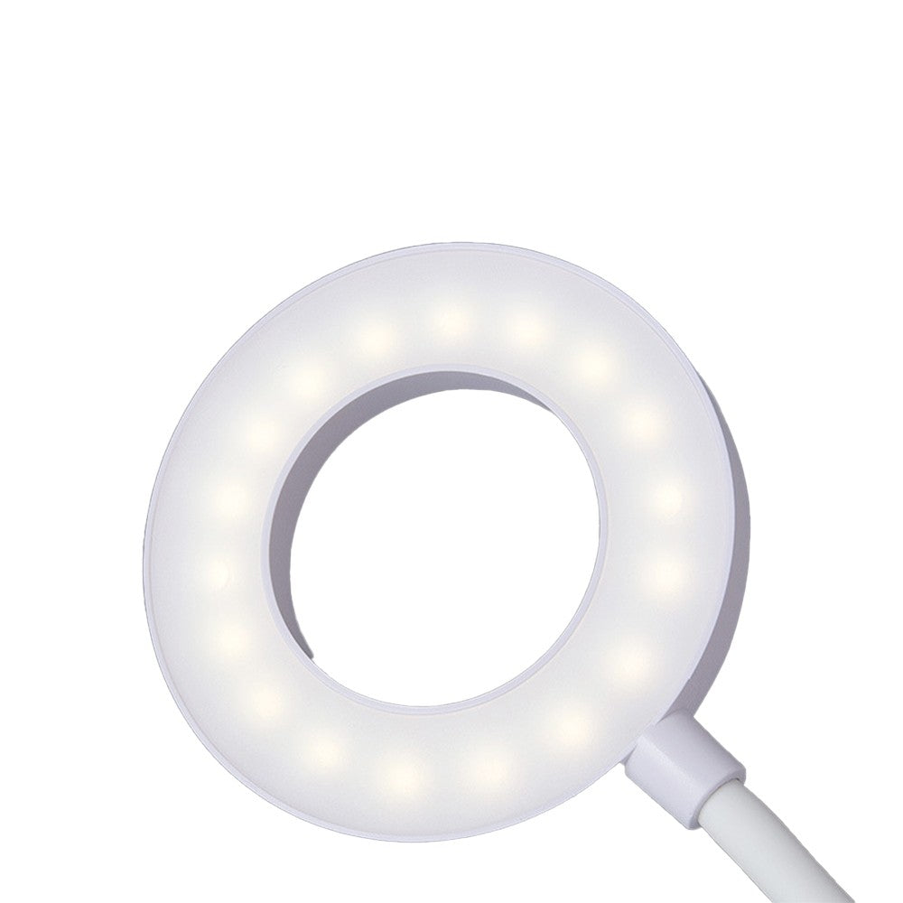 LED Desk Lamp Tabletop Light with Pen Holder and Phone Stand Warm White Light