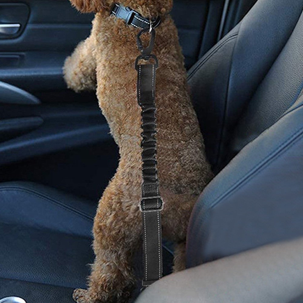 2 X Adjustable Pet Car Harness Strap Dog Seatbelt
