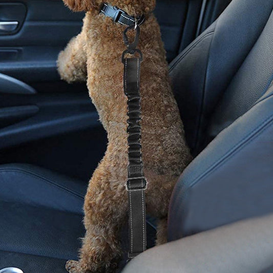 2 X Adjustable Pet Car Harness Strap Dog Seatbelt