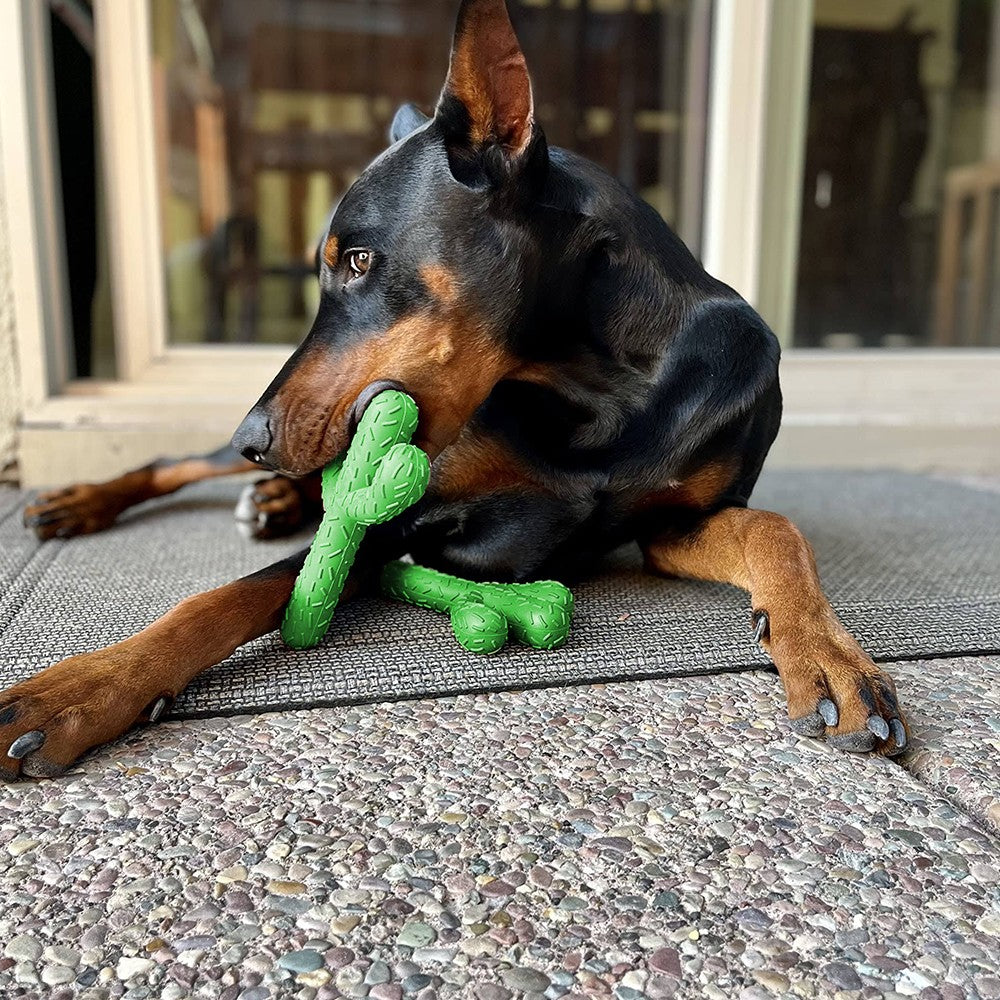 Cactus Shaped Dog Chew Toys Rubber Pet Teething Toy Interactive Dog Toys Dog Cleaning Teeth Toys