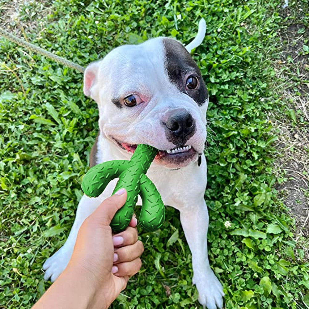 Cactus Shaped Dog Chew Toys Rubber Pet Teething Toy Interactive Dog Toys Dog Cleaning Teeth Toys