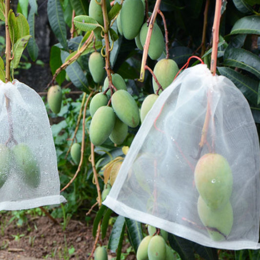 10Pcs 35x55cm Garden Protect Netting Bag